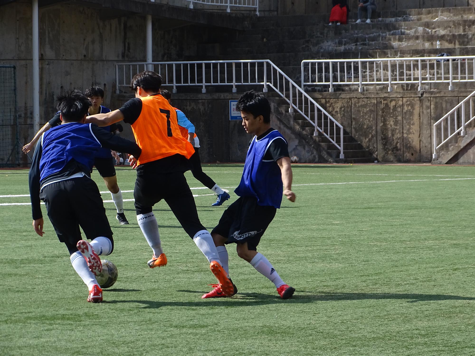 DSC00802.JPG